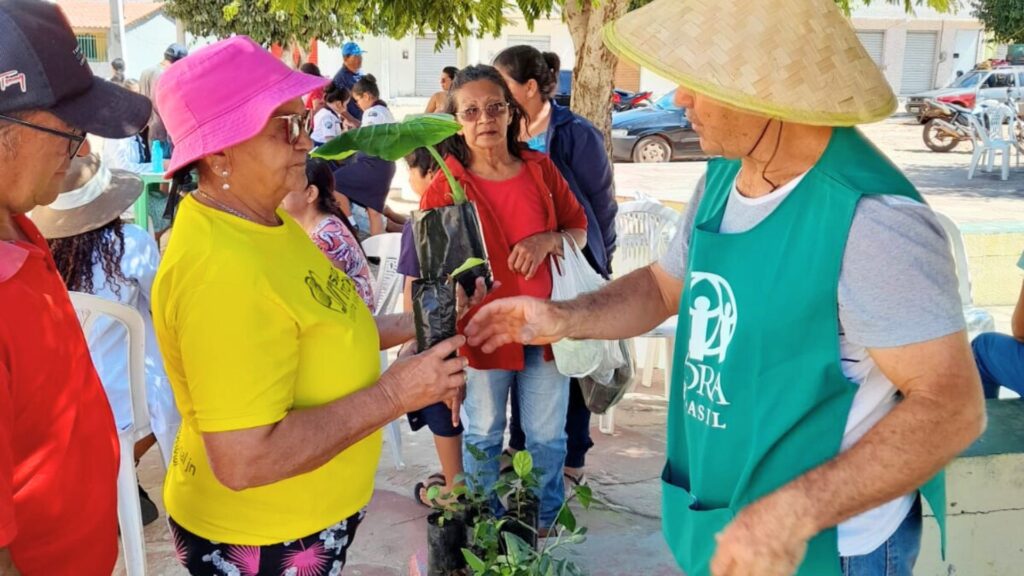 ADRA Brasil Uma Ponte de Esperança e Transformação Social no País