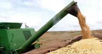 Empresas condenadas por demora de descarregamento de soja no Porto de Santos