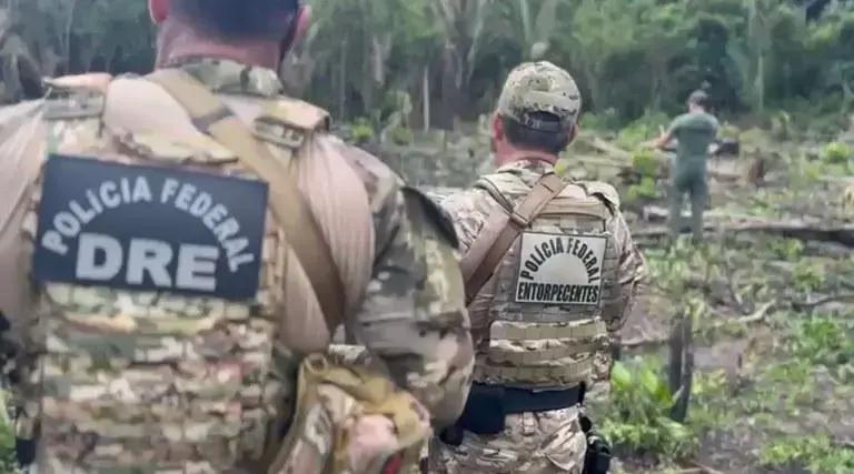 Polícia Federal realiza operação contra o cultivo ilegal de maconha no Amazonas