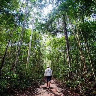 Fonte: www12.senado.leg.br