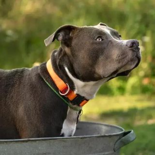 Fonte: www.conjur.com.br