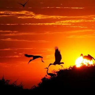 Fonte: www12.senado.leg.br