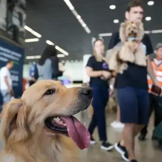 Fonte: Noticias.stf.jus.br