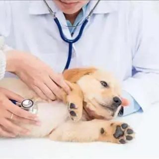 Fonte: www.conjur.com.br